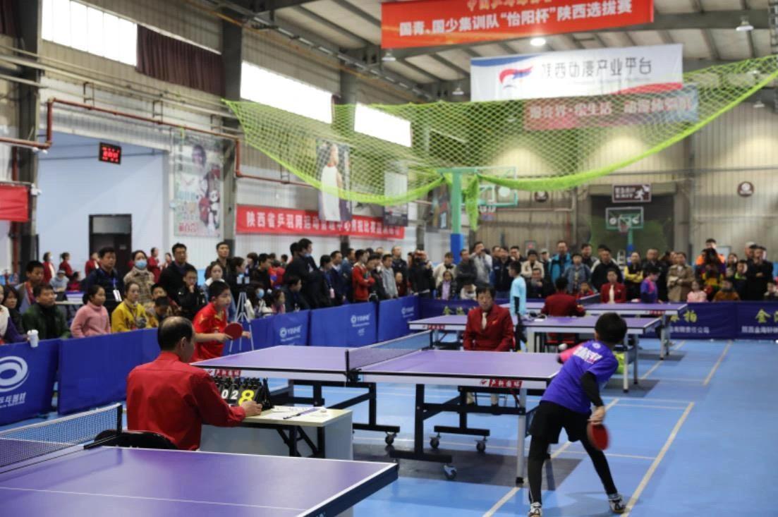 胸前徽章意 胸前徽章意