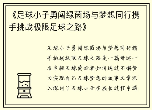 《足球小子勇闯绿茵场与梦想同行携手挑战极限足球之路》